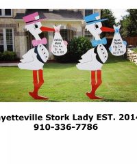 Fayetteville Stork Lady EST. 2014