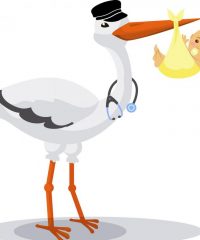 Baby Stork MD